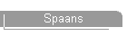 Spaans