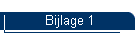 Bijlage 1