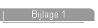 Bijlage 1