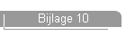 Bijlage 10