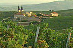 French countryside