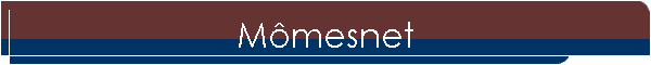 Mmesnet