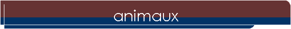 animaux